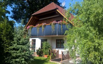 Solar-Ernte am Balkon