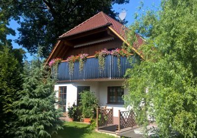 Röhrenkollektor Zwickauer Land