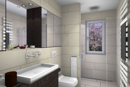 Schmales Bad Chemnitzer Land